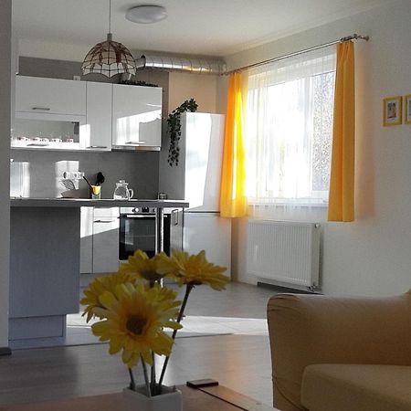 Rodinny Apartman Lucie V Blizkosti Wellness Hotelu Ve Frymburku Exterior photo