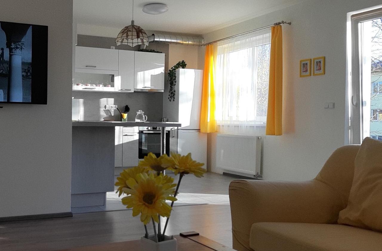 Rodinny Apartman Lucie V Blizkosti Wellness Hotelu Ve Frymburku Exterior photo